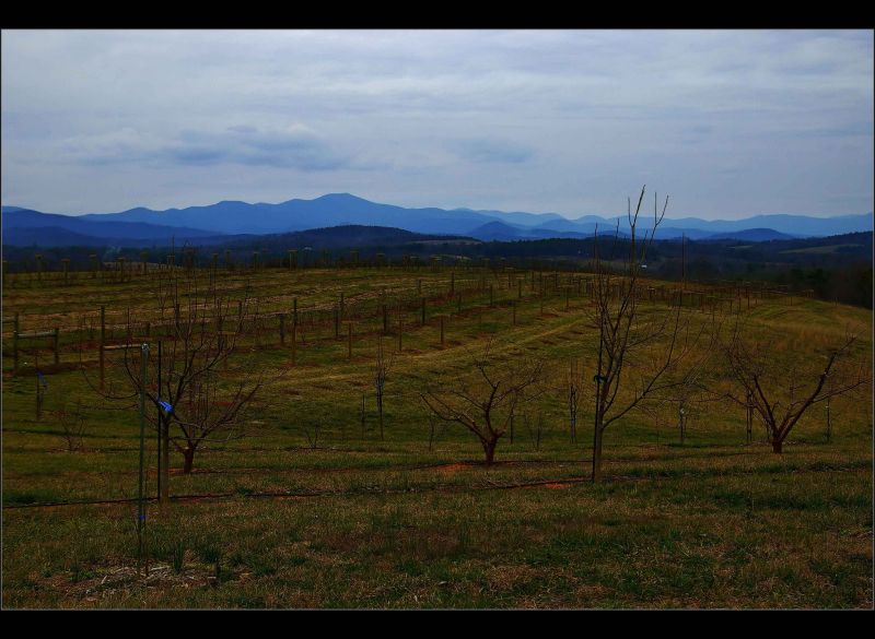 miuka farms oconee sc.jpg